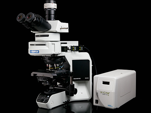 OLYMPUS BX43 BX53 флуоресцентный